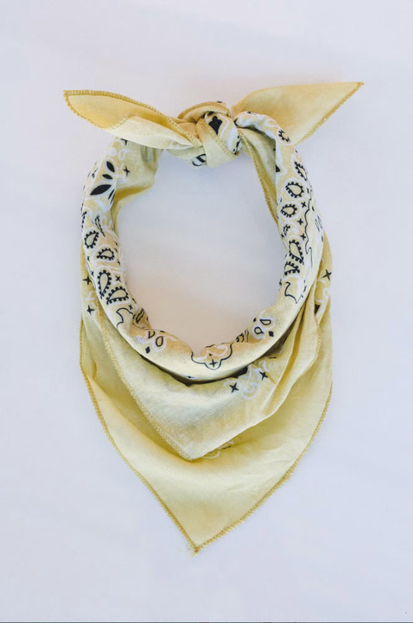 Cabin Song Paisley Bandana